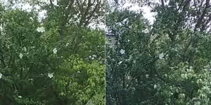 左が１日目、右が２日目